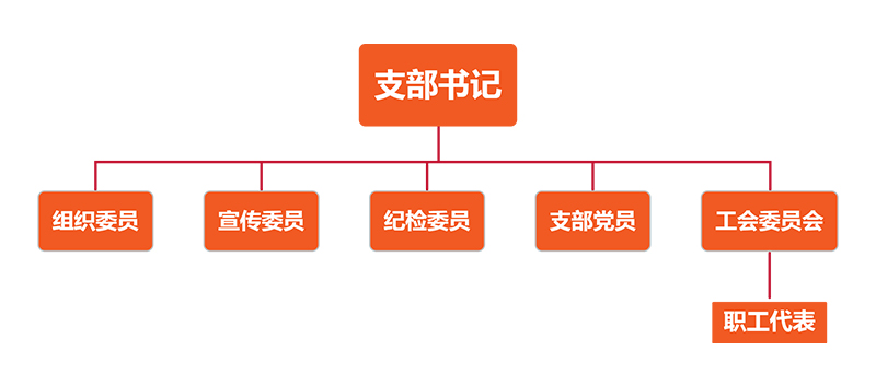 党支部介绍