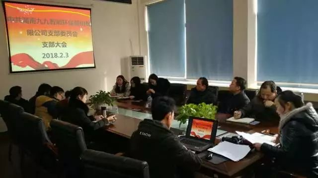 会议由公司党支部书记刘淑芳同志主持